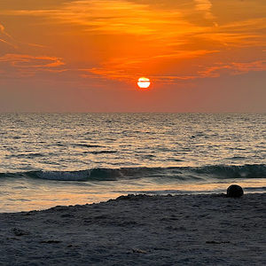 Meet your Posher, Bruce